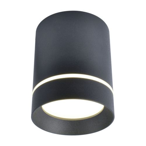 Светильник потолочный Arte Lamp Elle (Елле) A1909PL-1BK