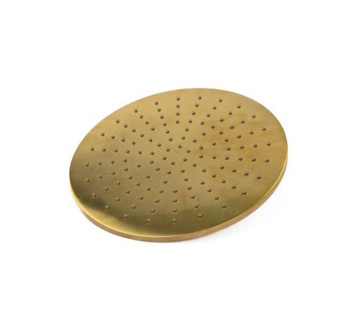 Душевая антикальцевая головка Emmevi C06657mm250/ORS цвет брашированное золото