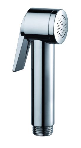 Гигиенический душ Bossini PALOMA APICE B00462.030 хром