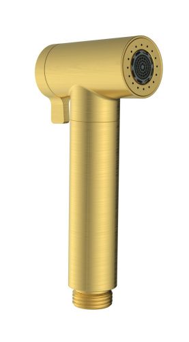 Лейка для гигиенического душа AltroBagno Modern AltroBagnoModern060206BG круглая