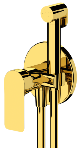 Гигиенический душ со смесителем Remer I65WDO золото глянцевое