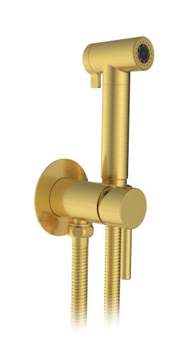 Гигиенический душ со смесителем AltroBagno Modern AltroBagnoModern060117BG золото матовое