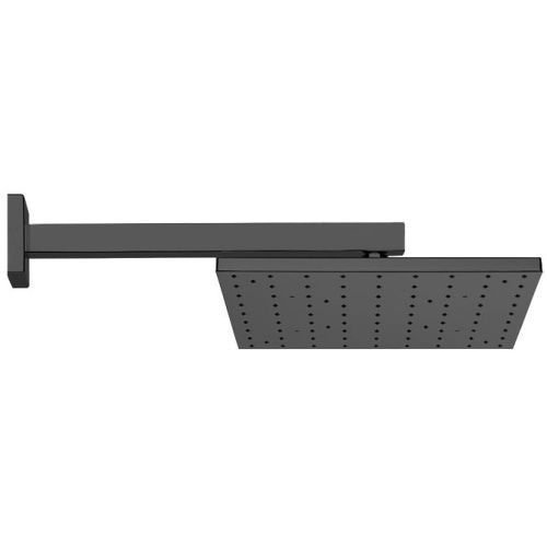 Верхний душ Webert Comfort AC0392560METAL черный