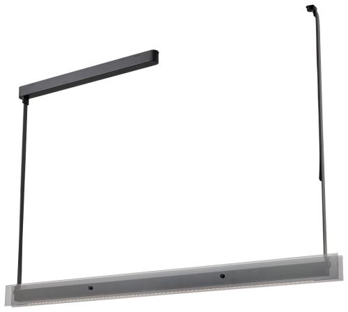 Светильник подвесной Wertmark Kuno WE435.15.023