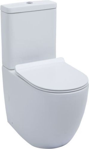 Чаша унитаза напольная Aquanet Cetus CETUS-C1 цвет белый без бачка с сиденьем микролифт безободковая каскадный смыв