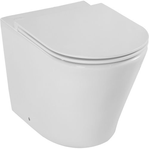 Чаша унитаза приставная Jacob Delafon Rodin+ EDAA102-00 цвет белый без сиденья безободковая каскадный смыв
