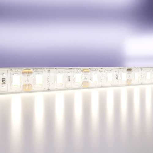 Светодиодная лента Maytoni Led Strip 10118