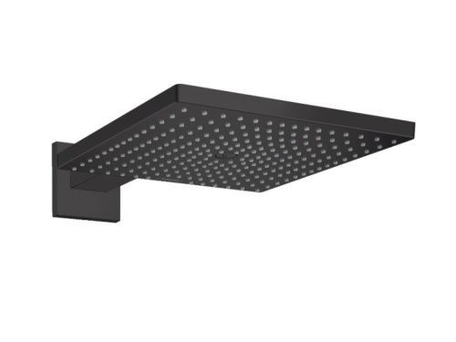 Верхний душ Hansgrohe Raindance E 26238670 черный матовый