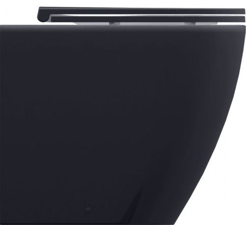 Чаша унитаза приставная Allen Brau Reality 4.32004.AN цвет черный без сиденья безободковая каскадный смыв