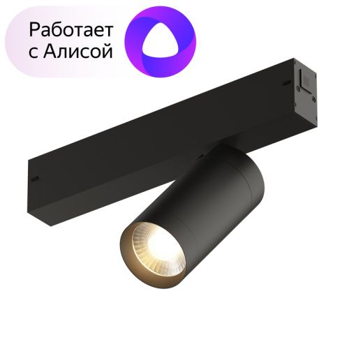 Трековый светильник Denkirs Smart Spot (Смарт Спот) DK8010-BK