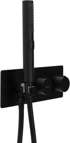 Смеситель для ванны с душем Allen Brau Liberty 5.33009-31 встраиваемый в стену черный