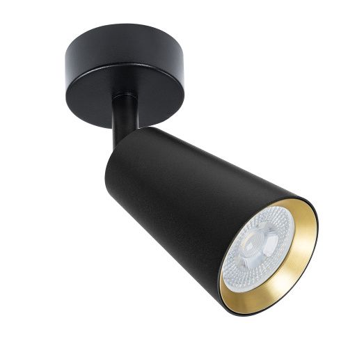 Спот Arte Lamp Cintura (Цинтура) A2353PL-1BK