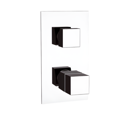 Смеситель для душа Remer Q-Elegance QT93 встраиваемый в стену хром с термостатом