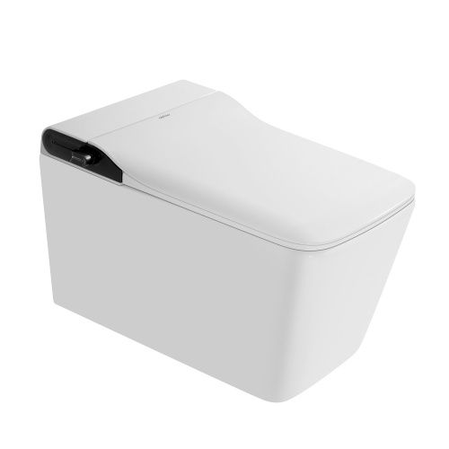 Унитаз-биде подвесной Abber Rechteck AC1215S белый с сиденьем микролифт импульсный смыв