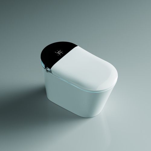 Электронный унитаз-биде напольный Timo ТЕ-741B белый с сиденьем микролифт безободковый смыв торнадо