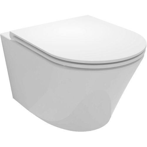 Чаша унитаза подвесная Jacob Delafon Rodin+ EDY102-00 цвет белый без сиденья безободковая каскадный смыв