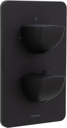 Смеситель для ванны с душем Allen Brau Infinity 5.21216-31 встраиваемый в стену черный с термостатом