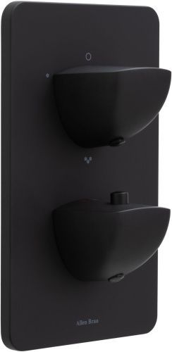 Смеситель для ванны с душем Allen Brau Infinity 5.21316-31 встраиваемый в стену черный с термостатом