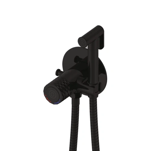 Гигиенический душ со смесителем Rose R225H черный
