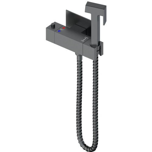 Гигиенический душ со смесителем Wonzon & Woghand WW-88819903-BGM графит