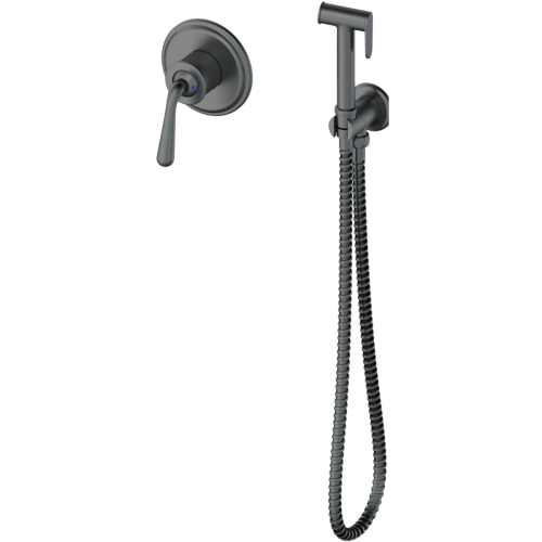 Гигиенический душ со смесителем Wonzon & Woghand Steam WW-88849008-BGM графит