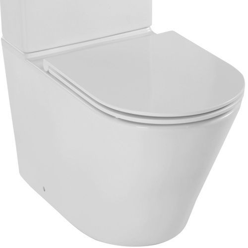 Чаша унитаза напольная Jacob Delafon Rodin+ UJAB102-00 цвет белый без бачка без сиденья безободковая душевой смыв