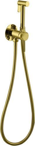 Гигиенический душ со смесителем Allen Brau Priority 5.31A29-GB встраиваемый в стену золото