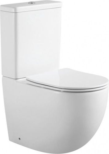 Чаша унитаза напольная Aquanet Cetus Cetus 2.0 C1 цвет белый без бачка с сиденьем микролифт безободковая каскадный смыв