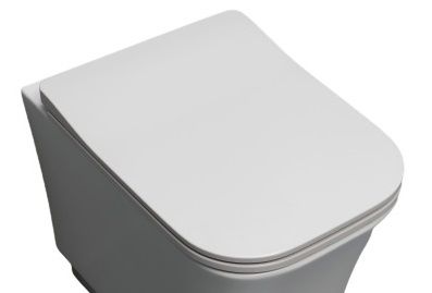 Крышка сиденье White Ceramic Idea WC100S05SL