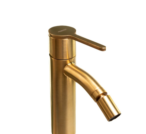 Смеситель Emmevi Filobrass 85004/ORS на биде золото брашированное