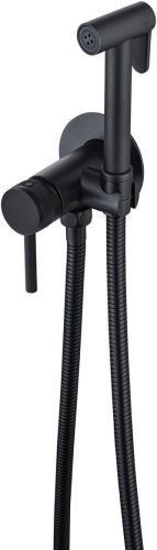 Гигиенический душ со смесителем Allen Brau Priority 5.31A29-31 встраиваемый в стену черный