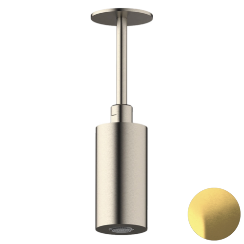 Верхний душ Daniel Steel SS2A578PELCM10 латунь брашированная