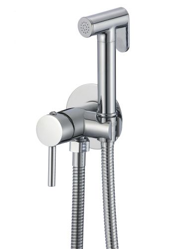Смеситель с гигиеническим душем D-Lin D183202 настенный хром
