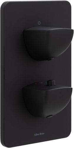 Смеситель для ванны с душем Allen Brau Infinity 5.21116-31 встраиваемый в стену черный с термостатом