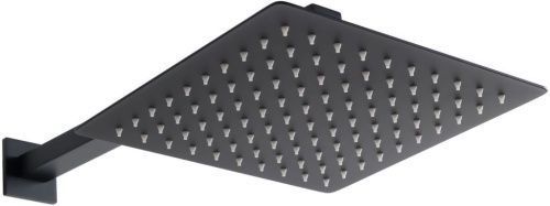 Верхний душ Allen Brau Infinity 5.21019-31 черный