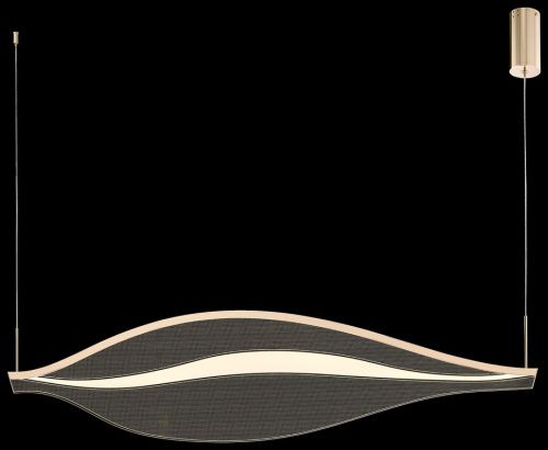 Светильник подвесной Wertmark Hetti WE450.01.343