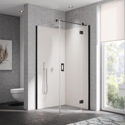 Душевая дверь Kermi Liga LI SNR 09020 3PK 100х200 стекло прозрачное профиль черный матовый