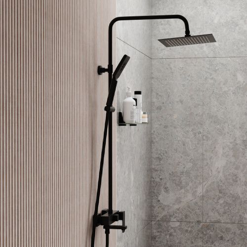 Душевая стойка WasserKRAFT BK27701BM настенная цвет черный