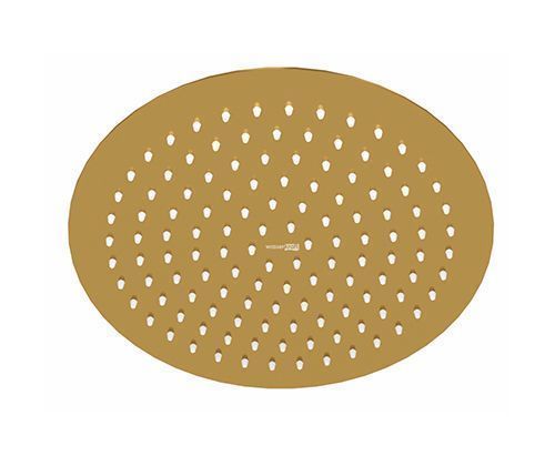Верхний душ Wasserkraft Aisch 5500 A259 золото