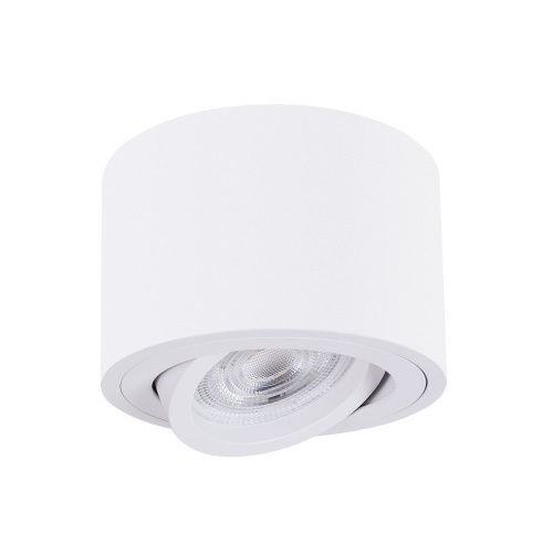 Светильник накладной Arte Lamp Unito (Унито) A2260PL-1WH