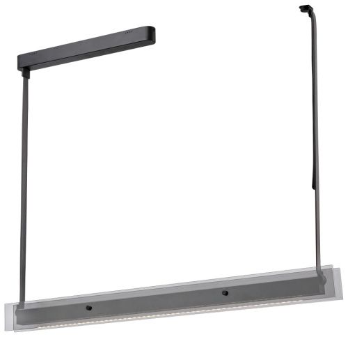 Светильник подвесной Wertmark Kuno WE435.12.023