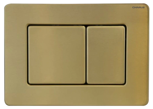 Клавиша смыва механическая CHARUS Robusto FP.310.BTG.05