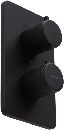 Смеситель для ванны с душем Allen Brau Priority 5.31314-31 встраиваемый в стену черный с термостатом - фото 2