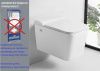 Унитаз подвесной Cerutti SPA CT10191 белый с сиденьем микролифт безободковый импульсный смыв