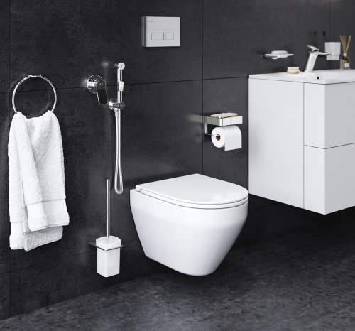 Комплект унитаз с инсталляцией с клавишей смыва с гигиеническим душем и аксессуарами для ванной комнаты Am.Pm Spirit CK70HA - фото 2