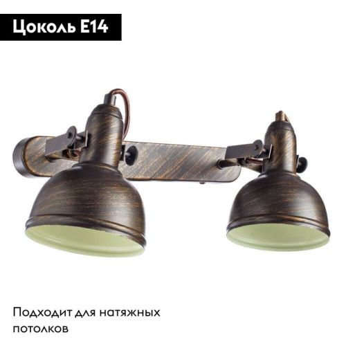 Спот Arte Lamp Martin (Мартин) A5213AP-2BR - фото 2