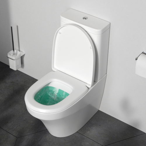 Унитаз напольный с бачком Am.Pm Inspire C508607WH белый глянцевый без сиденья душевой смыв - фото 3