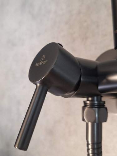 Гигиенический душ со смесителем AltroBagno Modern AltroBagnoModern060118GM оружейная сталь - фото 3