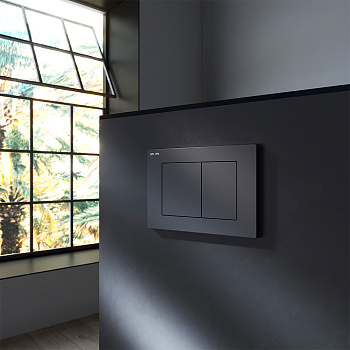 Клавиша смыва механическая Am.Pm PrimeFit S I090238 цвет черный