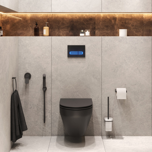 Комплект унитаз с инсталляцией с клавишей смыва с гигиеническим душем и аксессуарами для ванной комнаты Am.Pm Spirit V2.0 CK70GH